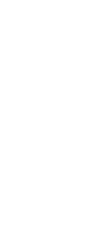 Vector image